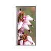 Türtapete 80 cm Pinke Blume Erica - 0