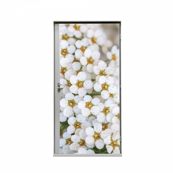 Türtapete 80 cm Weiße Blume Spirea