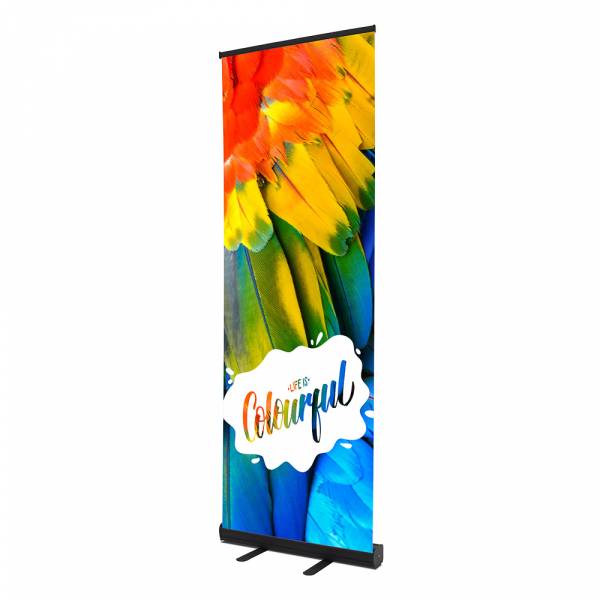 Roll Up Display Economy