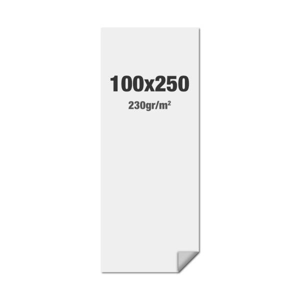 FlexFrame Wand Print 100 x 250 cm