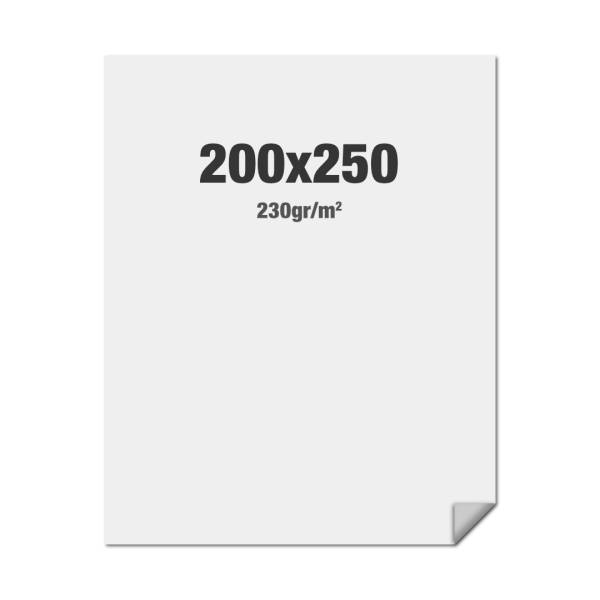 FlexFrame Wand Print 200 x 250 cm