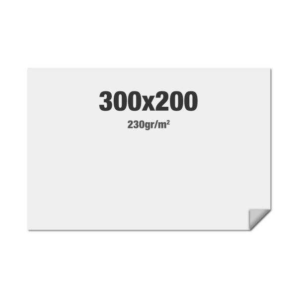 FlexFrame Wand Print 300 x 200 cm