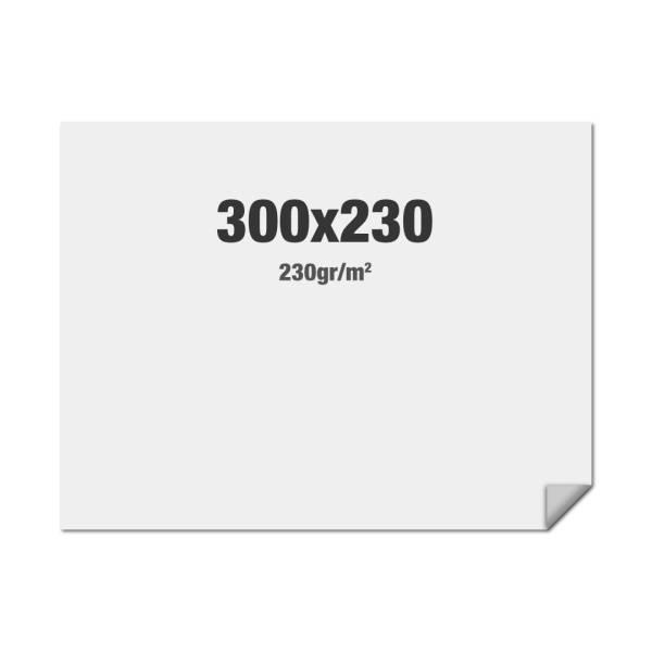 FlexFrame Wand Print 300 x 230 cm