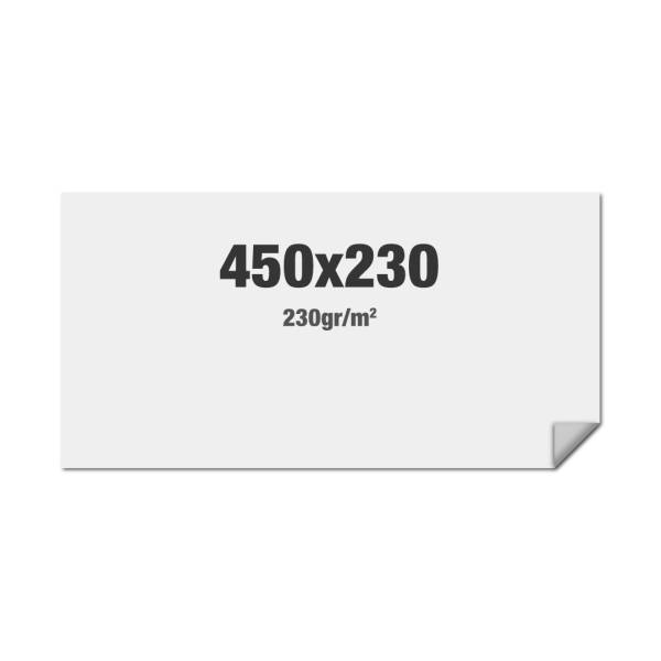 FlexFrame Wand Print 450 x 230 cm