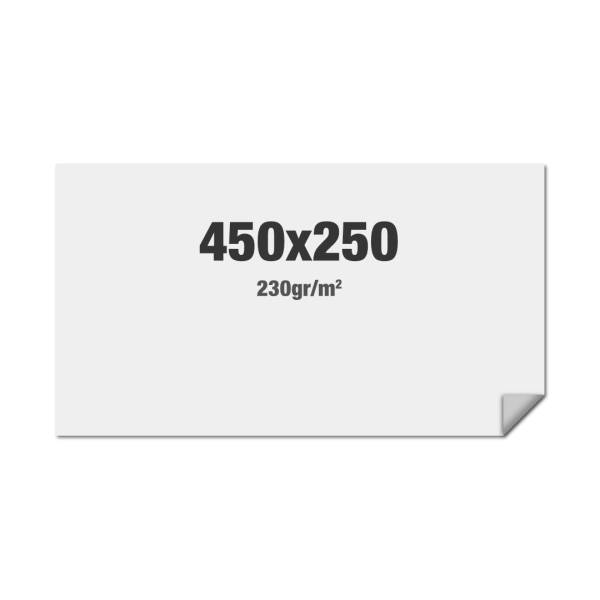 FlexFrame Wand Print 450 x 250 cm