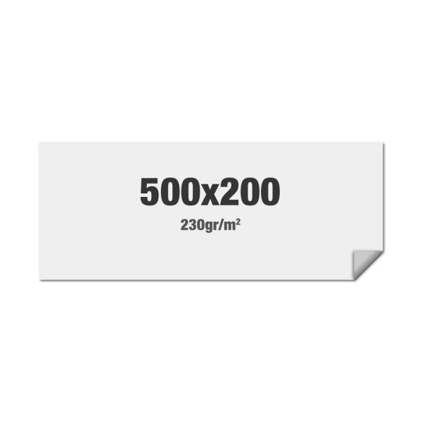 FlexFrame Wand Print 500 x 200 cm