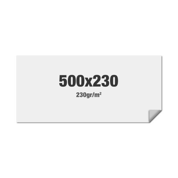 FlexFrame Wand Print 500 x 230 cm