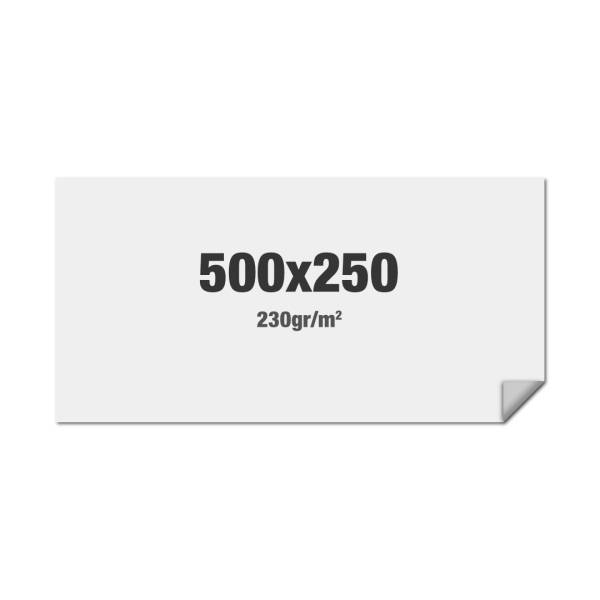 FlexFrame Wand Print 500 x 250 cm