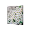 Spannstoff Wanddekoration SET 40 x 40 Weiße Blume Spirea - 0