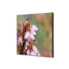 Spannstoff Wanddekoration SET A2 Pinke Blume Erica - 0