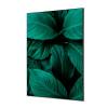 Spannstoff Wanddekoration SET A1 Botanische Blätter Blau - 6