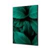 Spannstoff Wanddekoration SET A2 Botanische Blätter Blau - 1