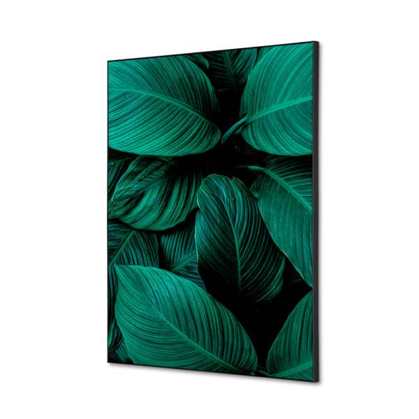 Spannstoff Wanddekoration SET A2 Botanische Blätter Grün