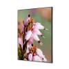 Spannstoff Wanddekoration SET A2 Pinke Blume Erica - 1