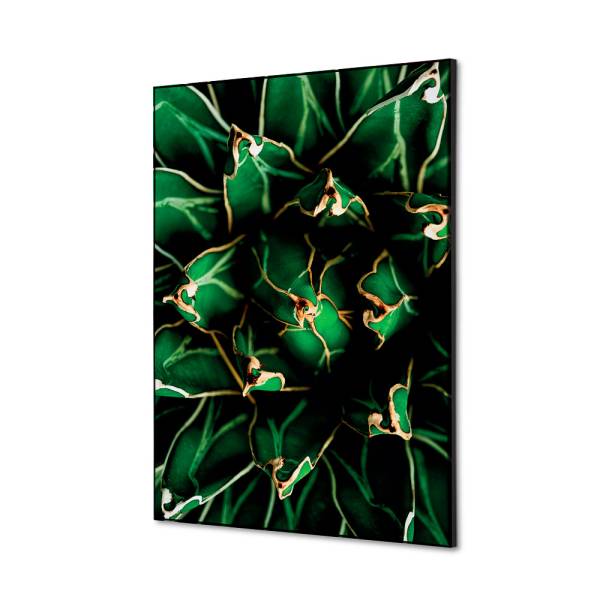 Spannstoff Wanddekoration SET A2 Kaktus Grün